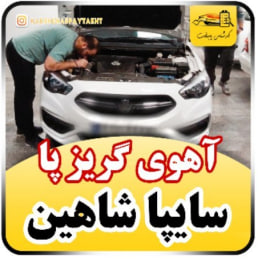 کارشناسی خودرو شاهین
